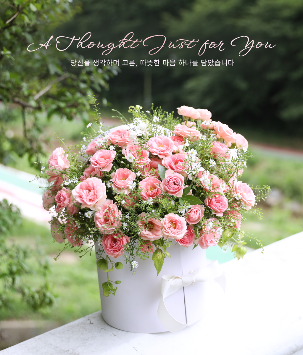 <br>A Thought Just for You</br>
연한 핑크 장미를 풍성하게 담아, 기쁨과 축하의 마음을 부드럽게 전하는 플라워 박스입니다.