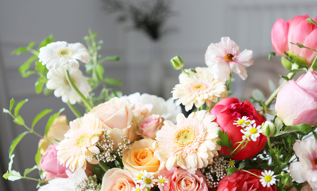 <div style="font-size:13px; color:#5A5A5A; text-align:center; font-style:oblique;">살구빛 그리고 하얀빛의 화형이 뚜렷한 이 꽃은 거베라 입니다</div>
<div style="font-size:15px; color:#5A5A5A; text-align:center; font-style:oblique;">거베라는 더위와 추위 모두에 강해 오래 보실 수 있는 꽃이며,<br> 심신안정에 도움이 된다고 알려진 꽃이에요.<br>화형과 색감이 뚜렷하여 주로 화환에 많이 사용되는 꽃입니다.</br></div>
<div style="font-size:13px; color:#5A5A5A; text-align:center; font-style:oblique;">부드러운 색감의 장미들과 어울리도록<br> 거베라 역시 부드러운 색감으로 통일감을 더해주었으며,<br>색다른 질감의 화형으로 시각적으로 느낄 수 있는 다채로움을 극대화했습니다.</br></div>