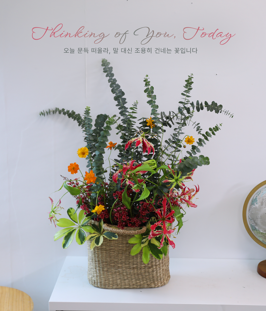 <br>Thinking of You, Today</br>
붉은 글로리오사의 빈티지한 라인과 유칼립투스가 어우러져,
자연스러운 높이감을 살린 내추럴한 가을 무드의 바스켓입니다.