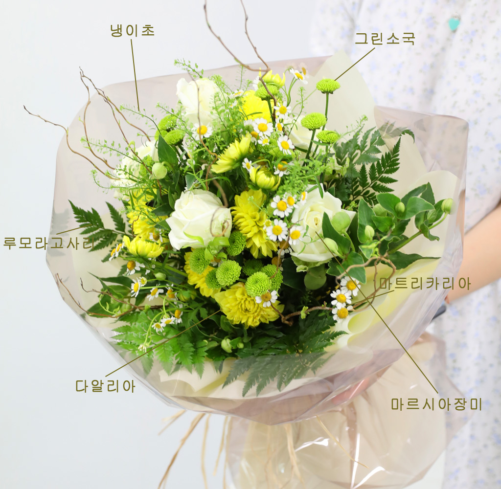 여름을 노래하다