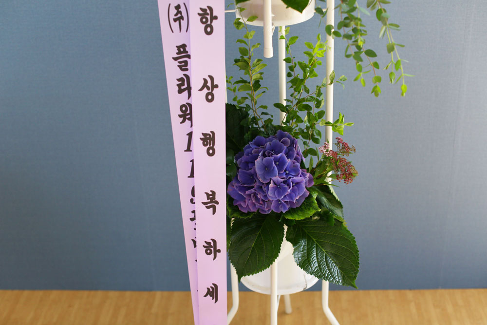 특별한 축하용 화환 - 플라워119 디자인 축하화환_NO 2
