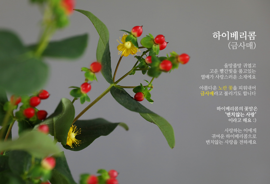 하이베리콤 / 1대