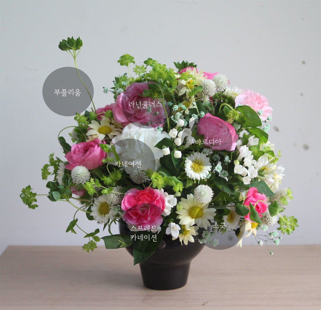 봄,꽃들의 축제 Filled with spring