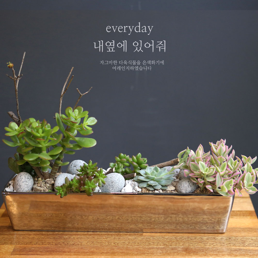 Everyday - 내곁에 있어줘