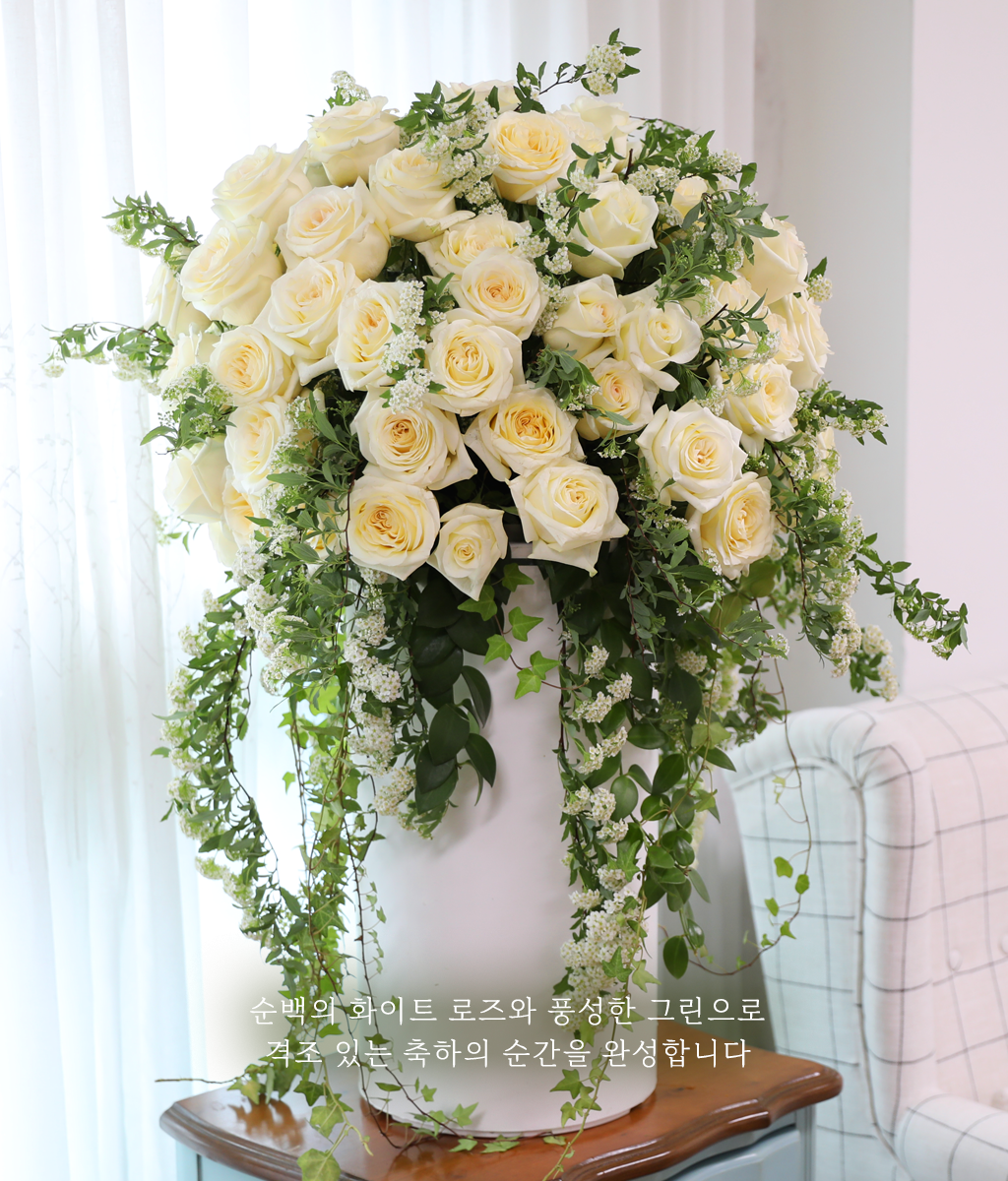 축복을 담은 화이트 로즈