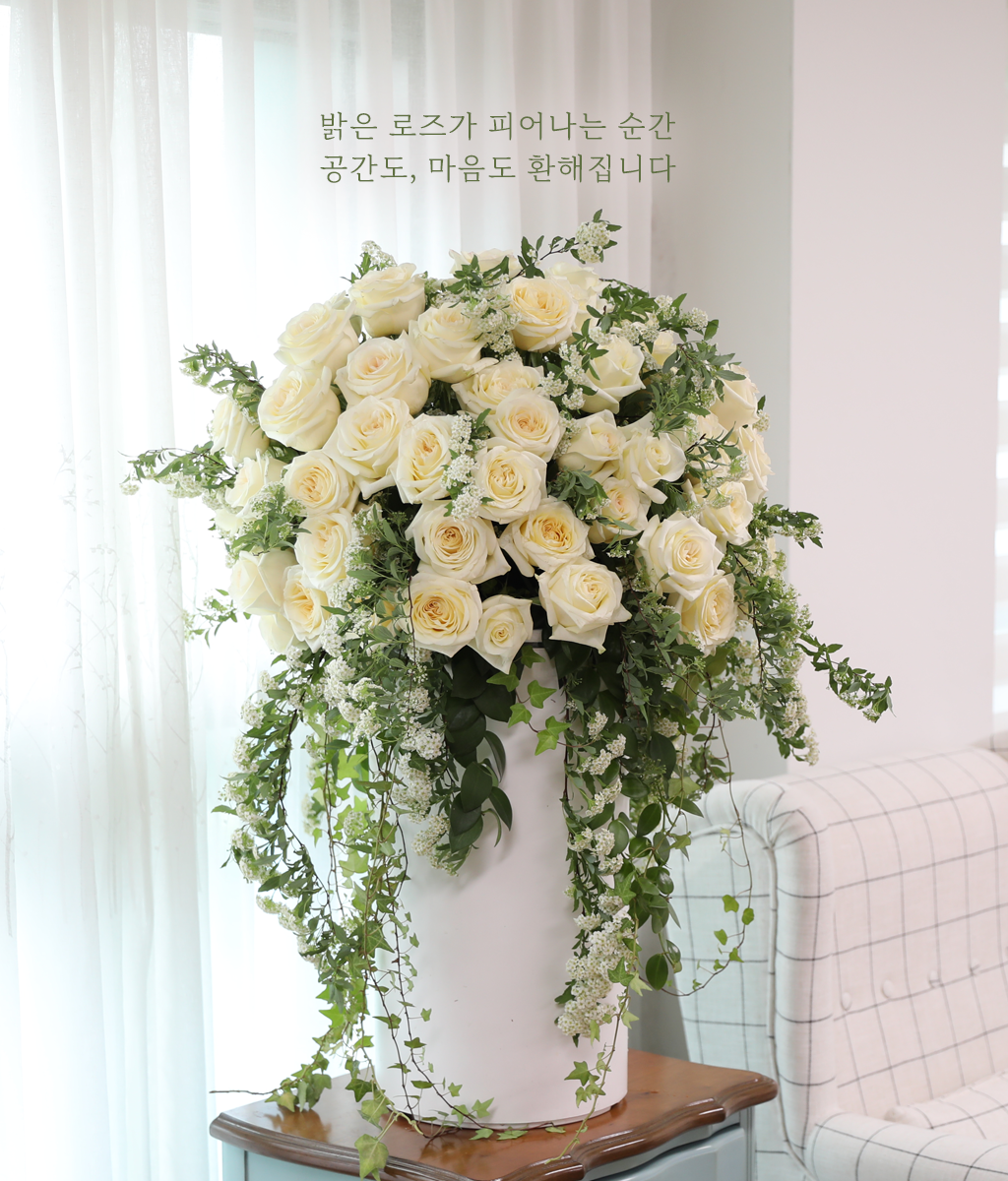 축복을 담은 화이트 로즈