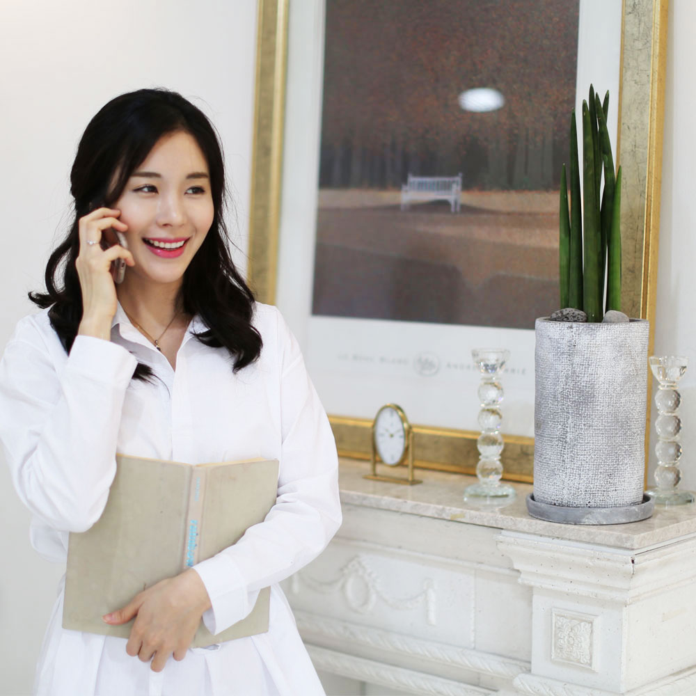 실내에 딱 좋은 사이즈 관엽화분 - 관리가 좋은 모던한 스튜키 (中)