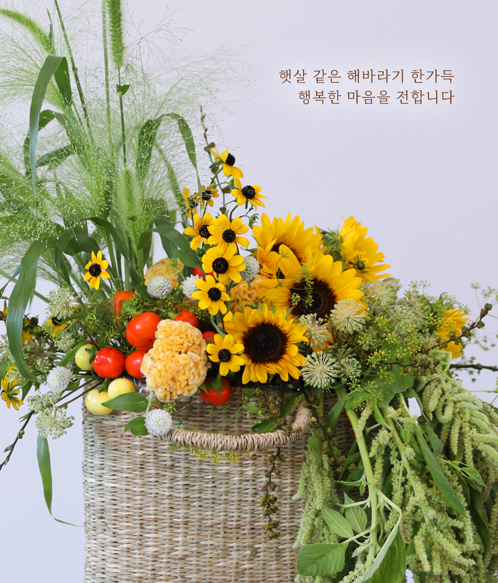 ‘당신만을 바라봅니다’라는 꽃말처럼
진심이 가장 먼저 닿는 순간