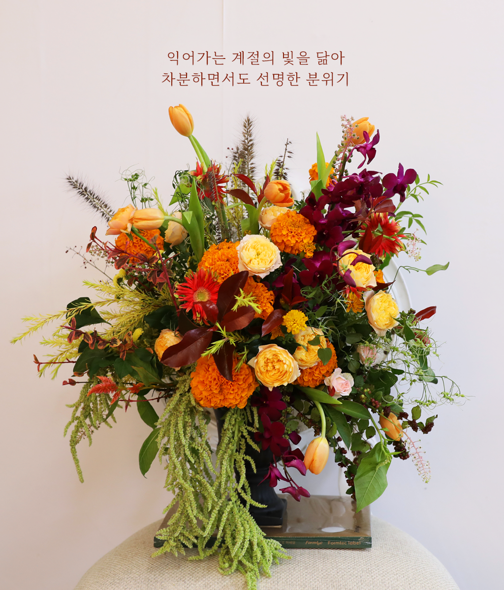가을빛에 담긴 꽃말처럼
차분한 응원을 전하는 순간