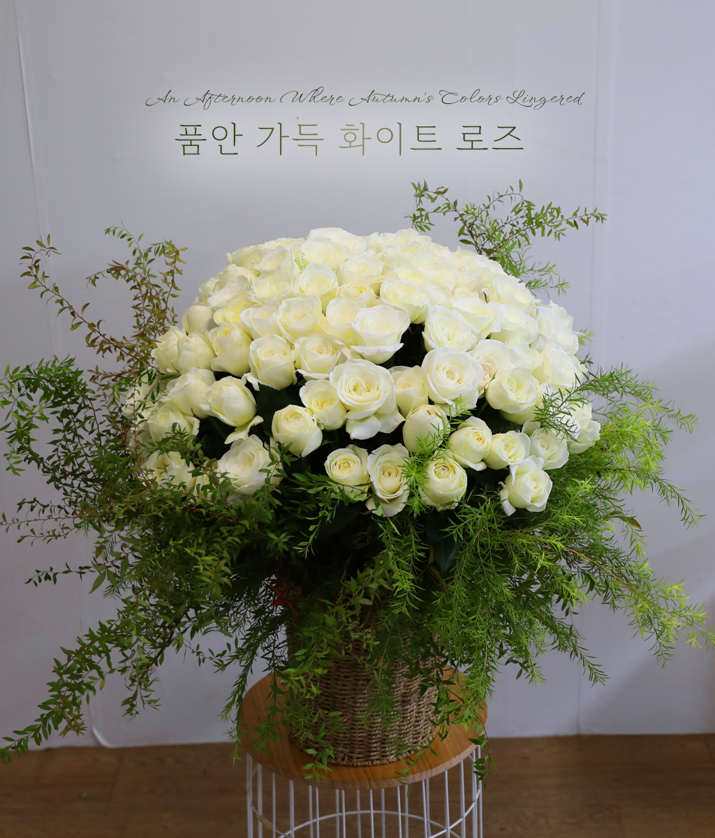 <br>품안 가득 화이트 로즈</br>
불필요한 색을 덜어낸 구성으로
장미 본연의 아름다움이 더욱 또렷합니다.