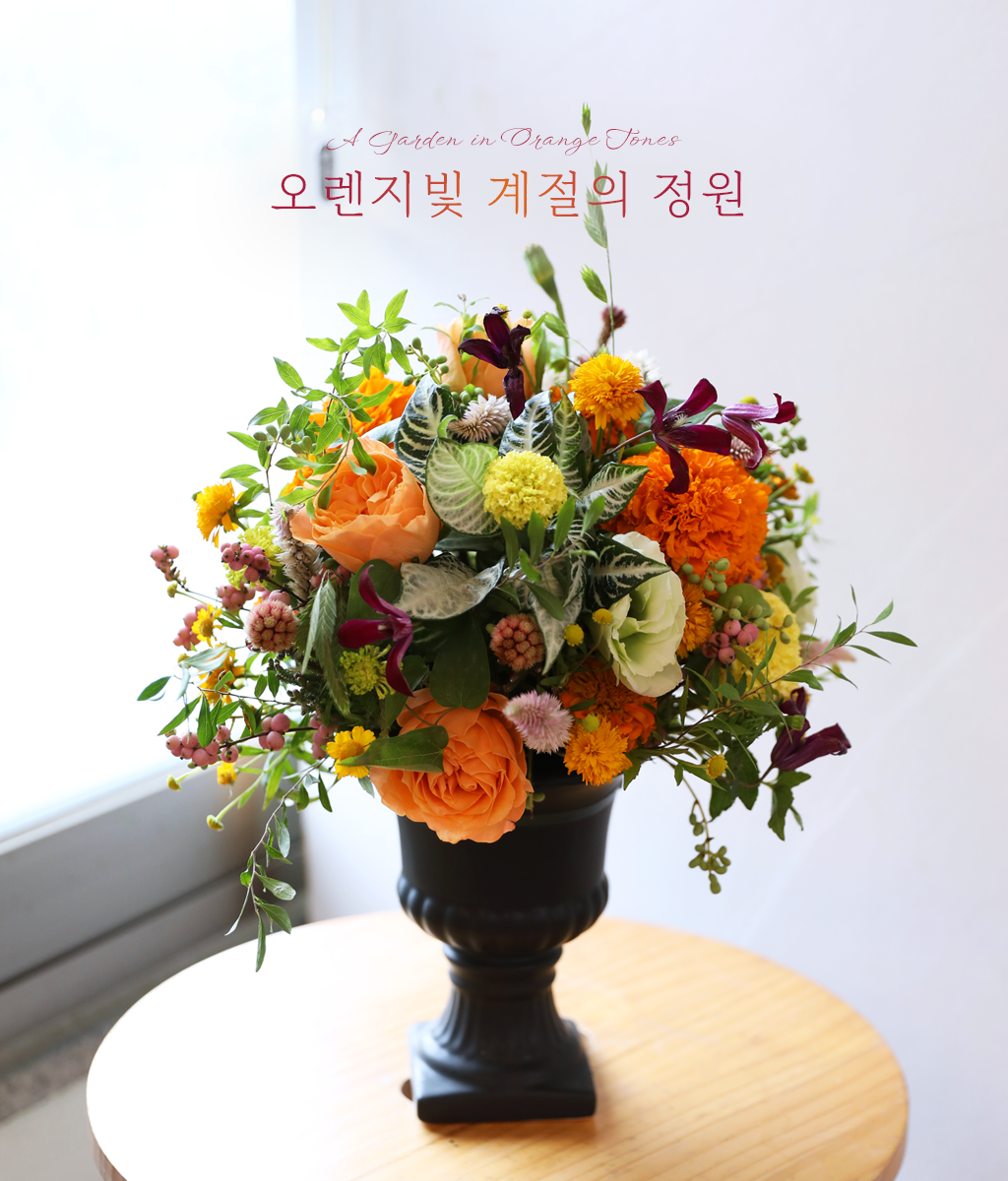 <br>오렌지빛 계절의 정원</br>
오렌지와 옐로우 컬러가 어우러져
공간에 계절의 온기를 더합니다.