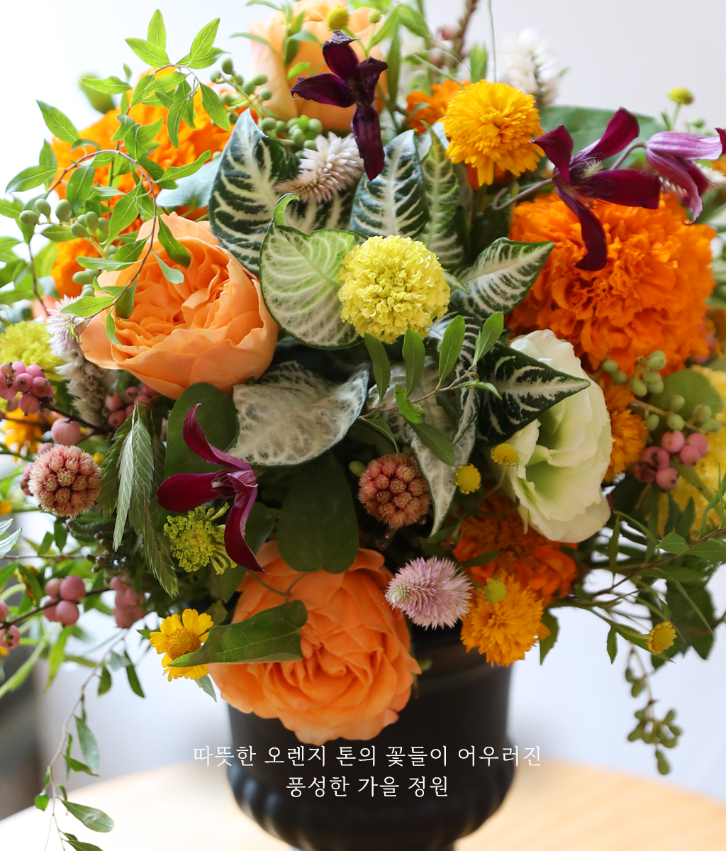 오렌지빛 계절의 정원