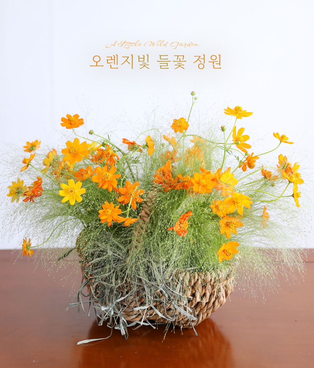 <br>오렌지빛 들꽃 정원</br>
섬세한 그린의 결이 살아 있어
가볍고 산뜻한 분위기를 완성합니다.