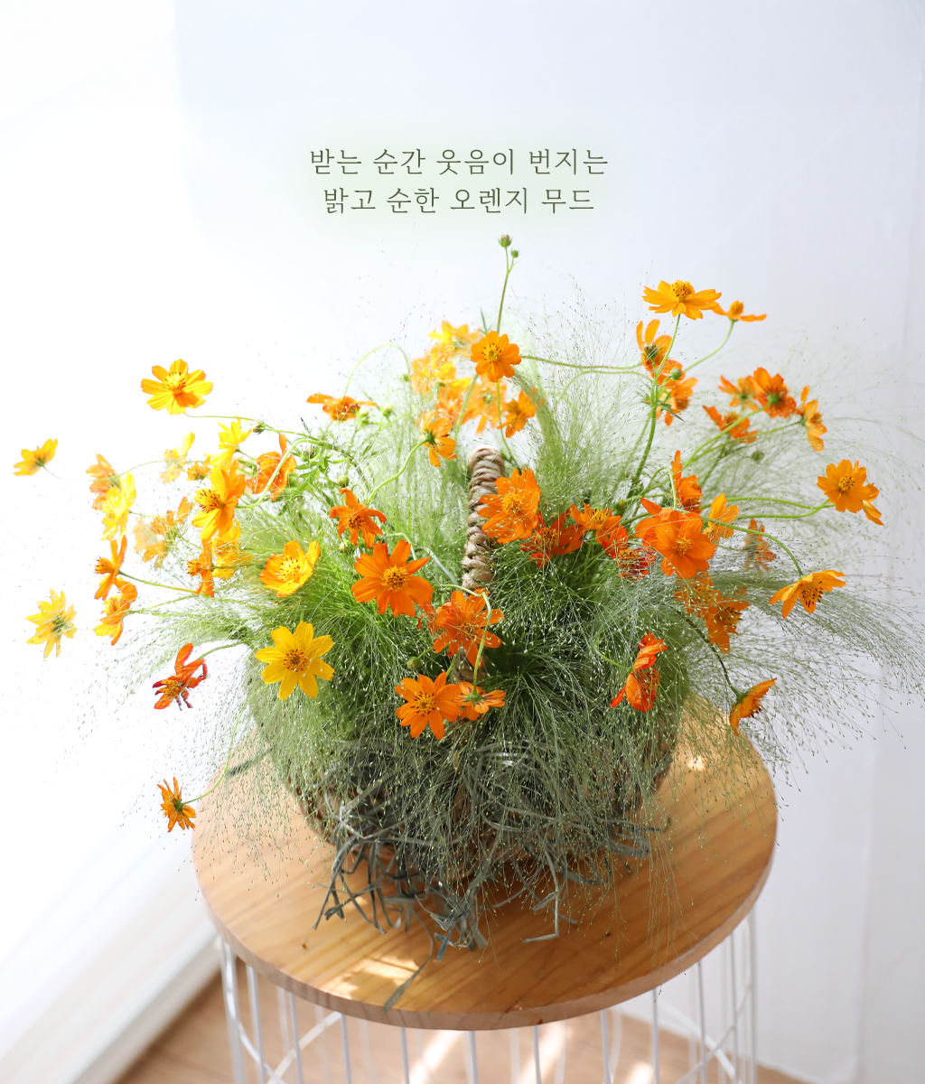 밝은 색감이 긍정적인 에너지를 전해줍니다.
부담 없이 마음을 전해보세요.
