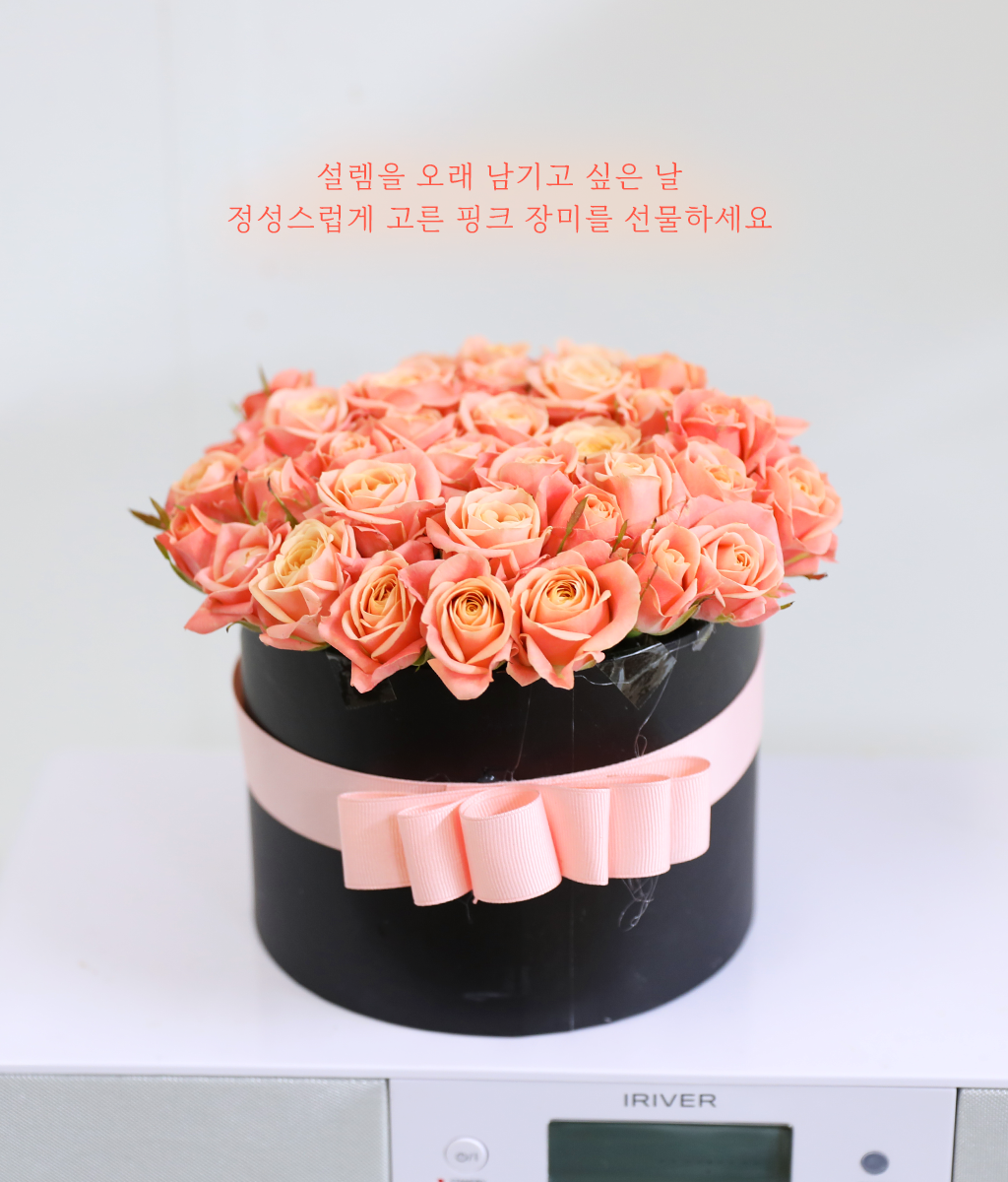 핑크빛 설렘 한 스푼