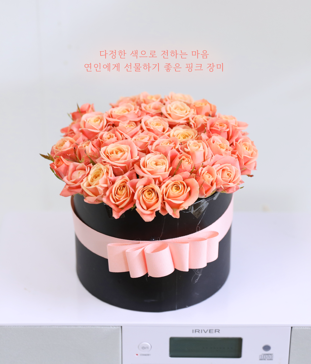 핑크빛 설렘 한 스푼