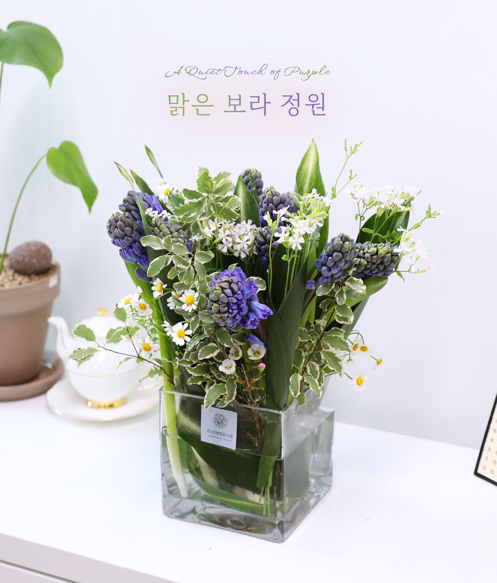 <br>맑은 보라 정원</br>
보라 히아신스를 중심으로
화이트 플라워와 그린을 균형 있게 배치해
차분하고 맑은 분위기를 완성한 어렌지입니다.