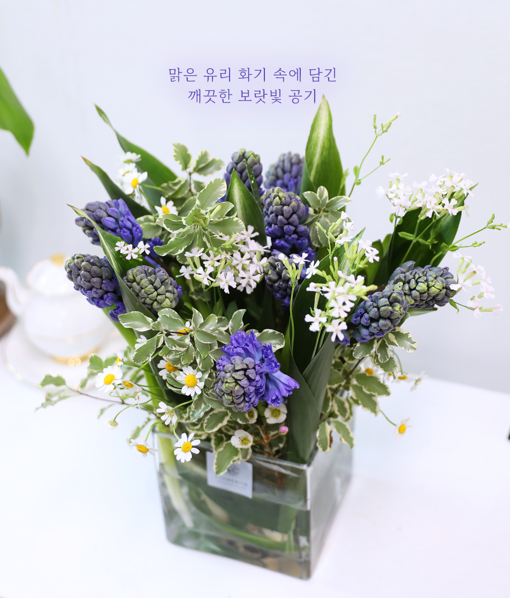 맑은 보라 정원