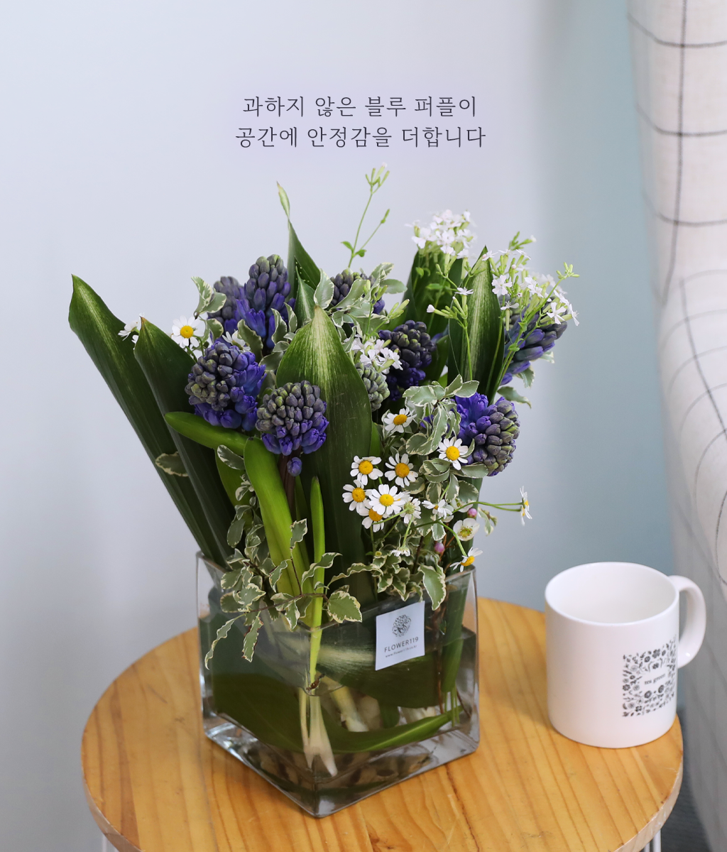 맑은 보라 정원