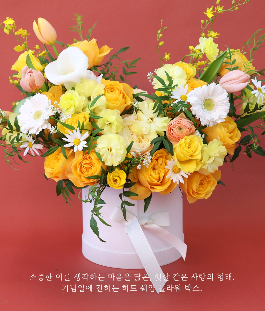 A shape of heart - 사랑이 웃는 색