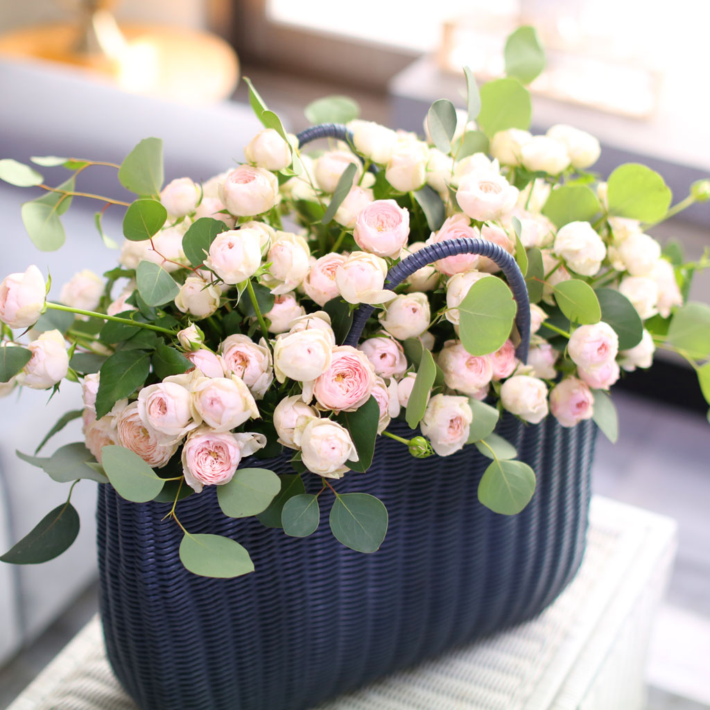 100 roses 맨즈필드