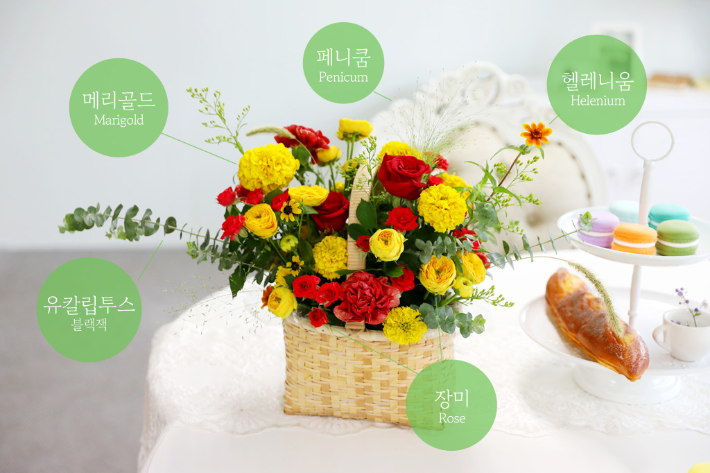 <div style="font-size:15px; color:#5A5A5A; text-align:center; font-style:oblique;">"꽃말 소개"</div>
<div style="font-size:13px; color:#5A5A5A; text-align:center; font-style:oblique;"><br>메리골드 : 반드시 오고야 말 행복<br>페니쿰 : 애수<br>헬레니움 : 눈물<br>장미 : 열렬한 사랑</br></div>