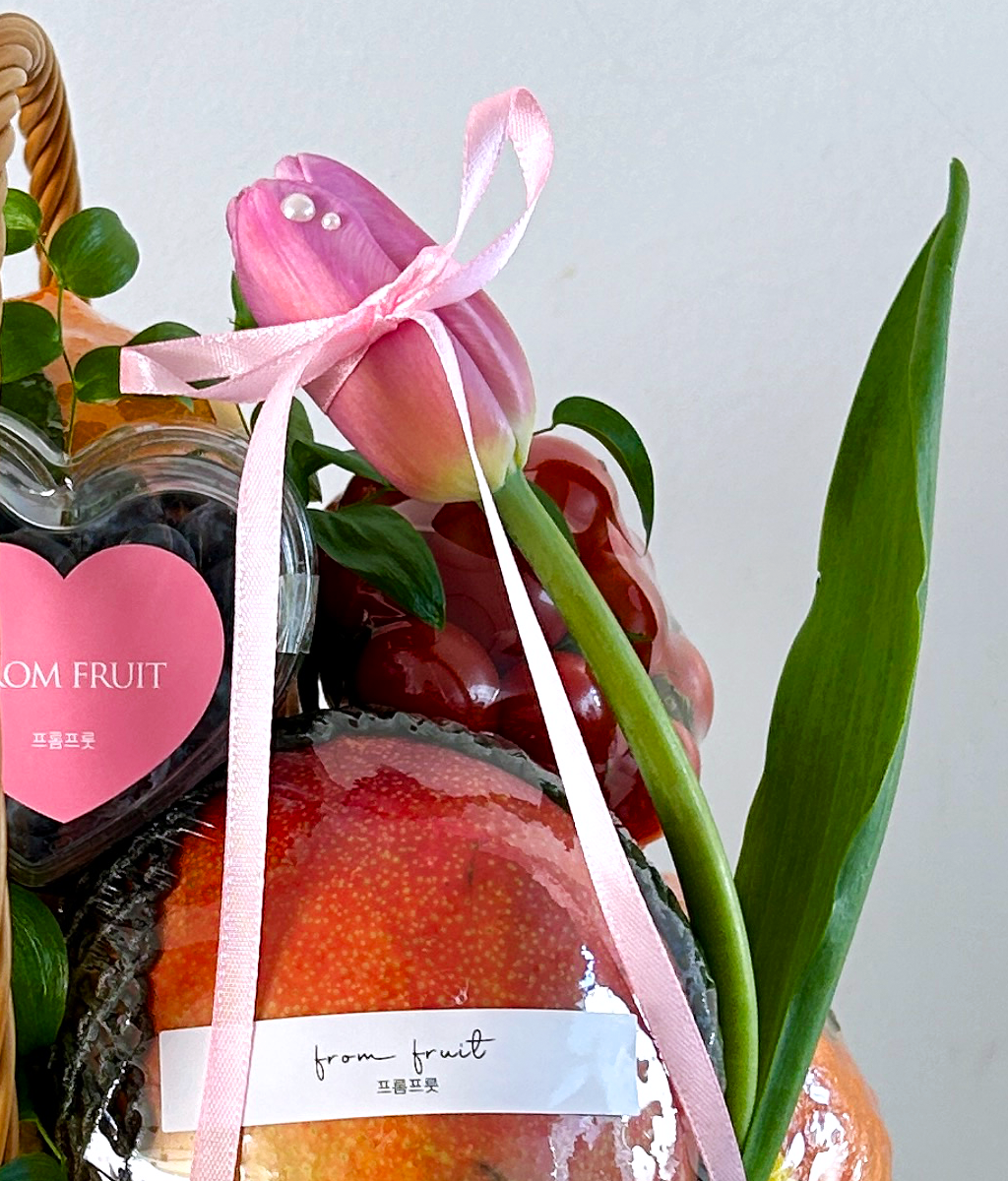 Fruit Gift - M 001
