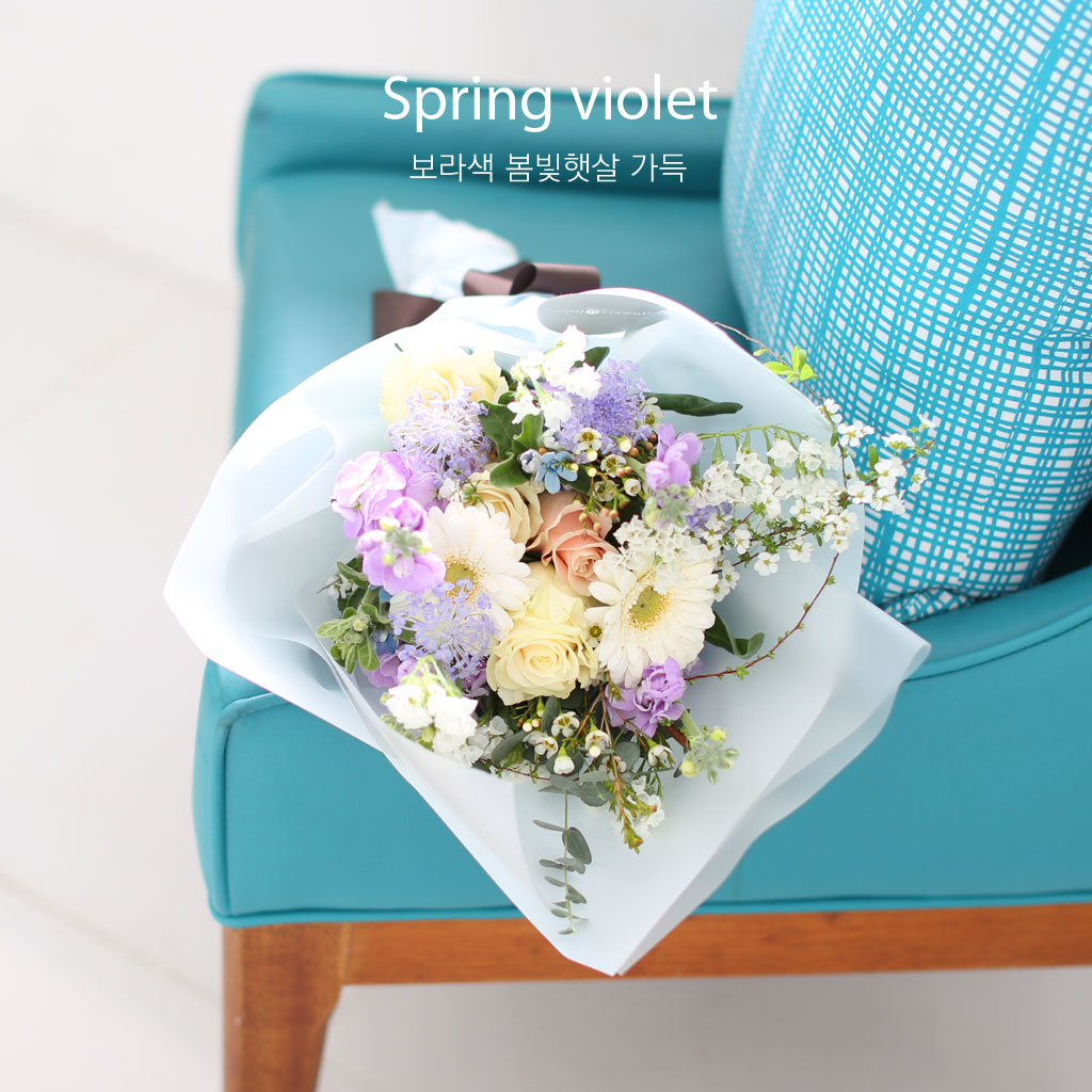 Spring violet - 보라빛 봄빛 햇살