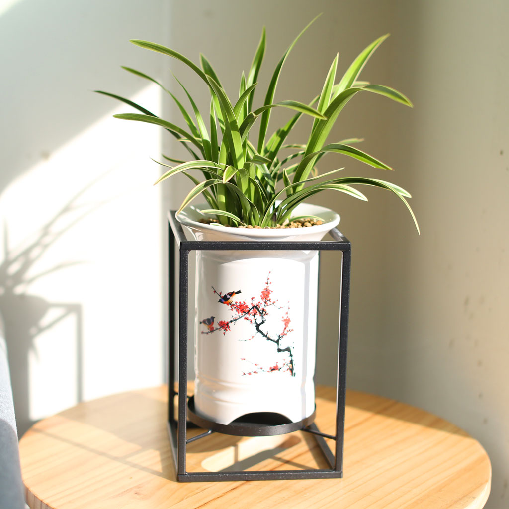 Office & Nature 대국