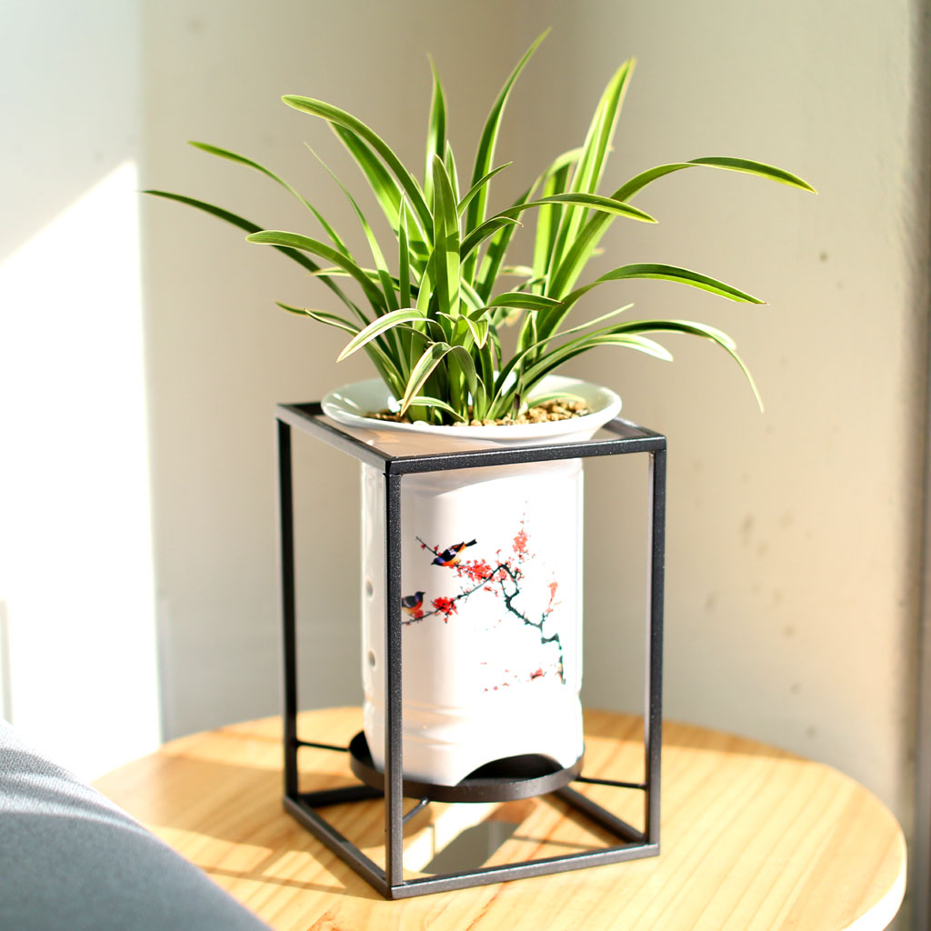 Office & Nature 대국