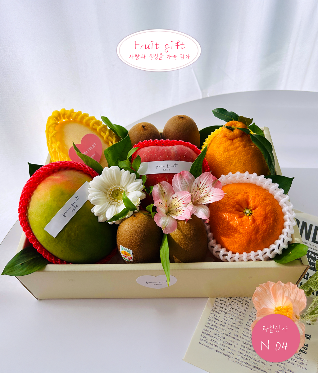 Fruit Gift - original box N04