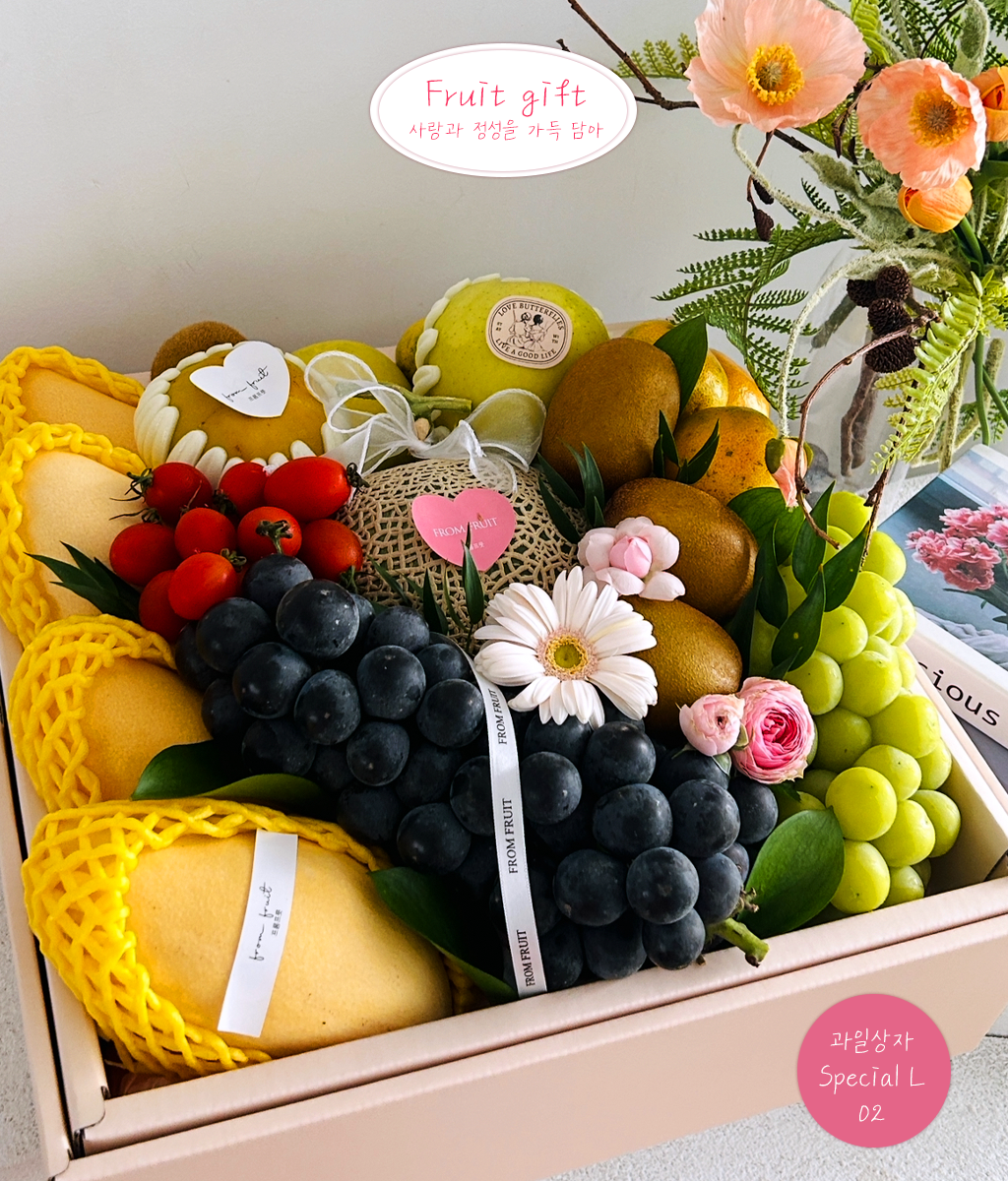 Fruit Gift - Special box L 02