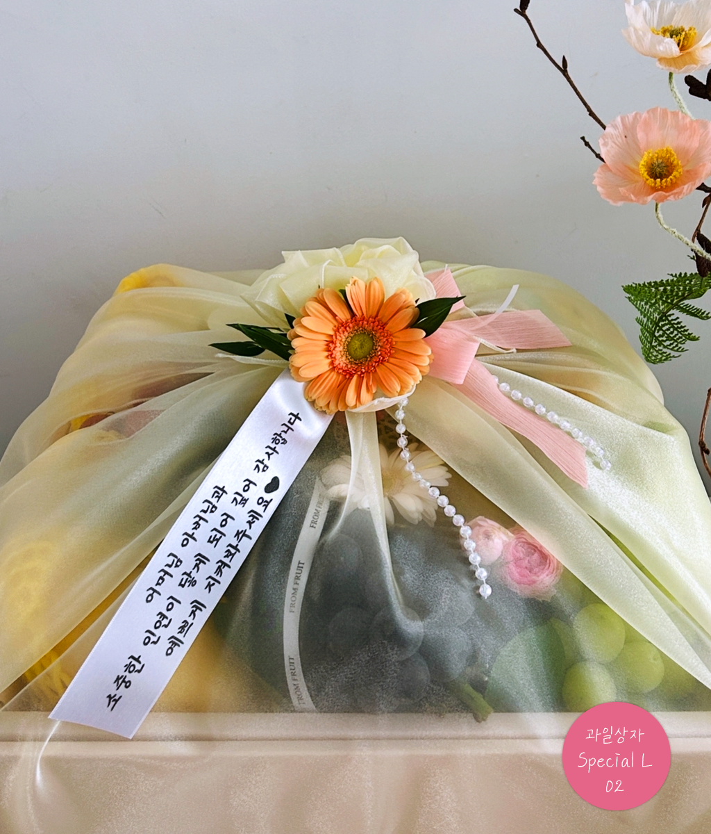Fruit Gift - Special box L 02