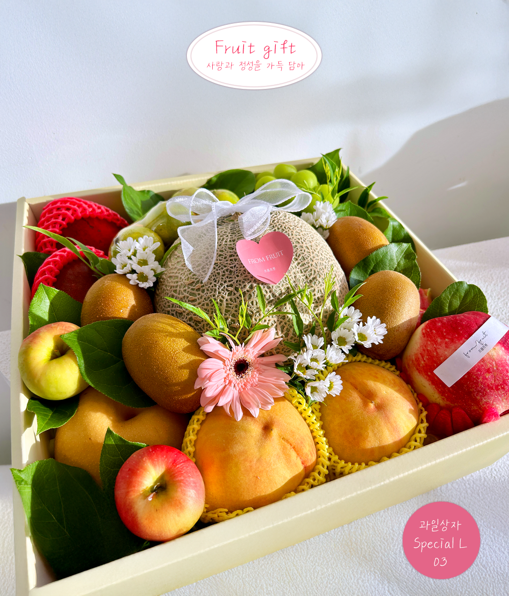 Fruit Gift - Special box L 03