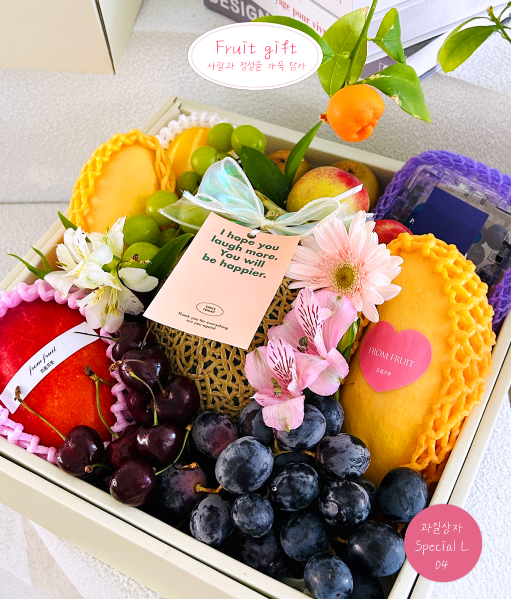 Fruit Gift - Special box L 04