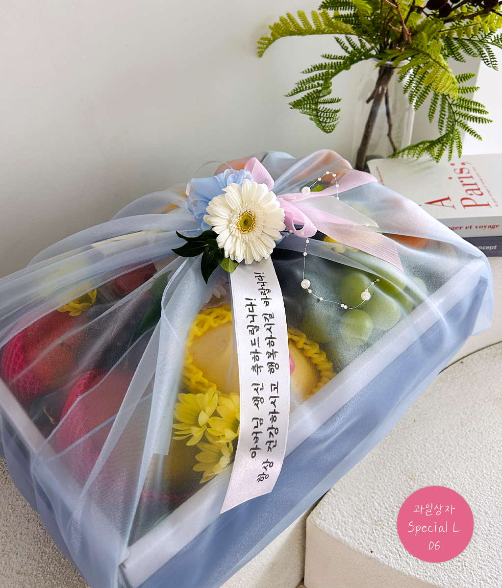 Fruit Gift - Special box L 06