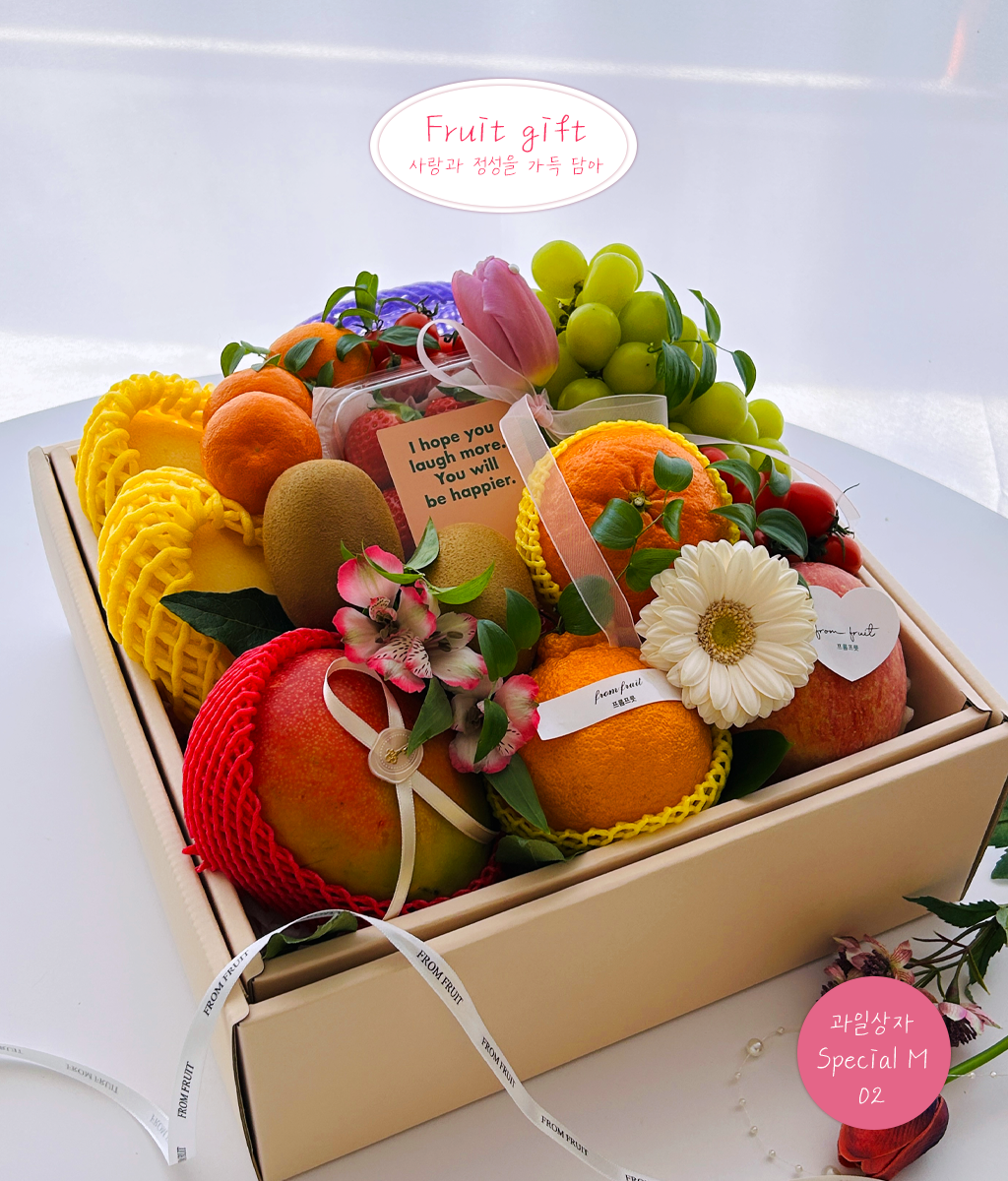 Fruit Gift - Special box M 02