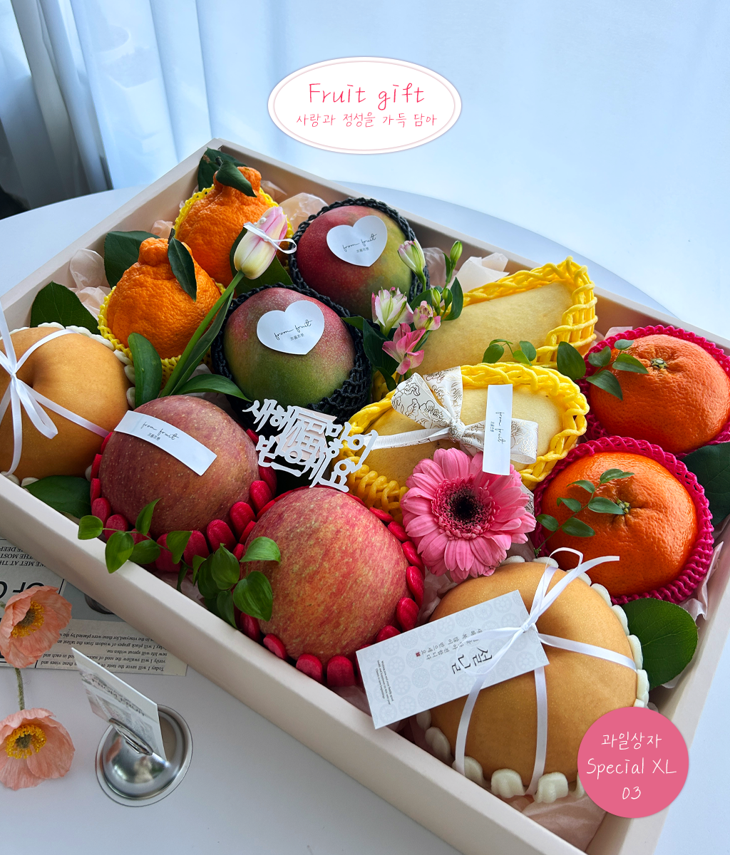 Fruit Gift - Special box XL 03