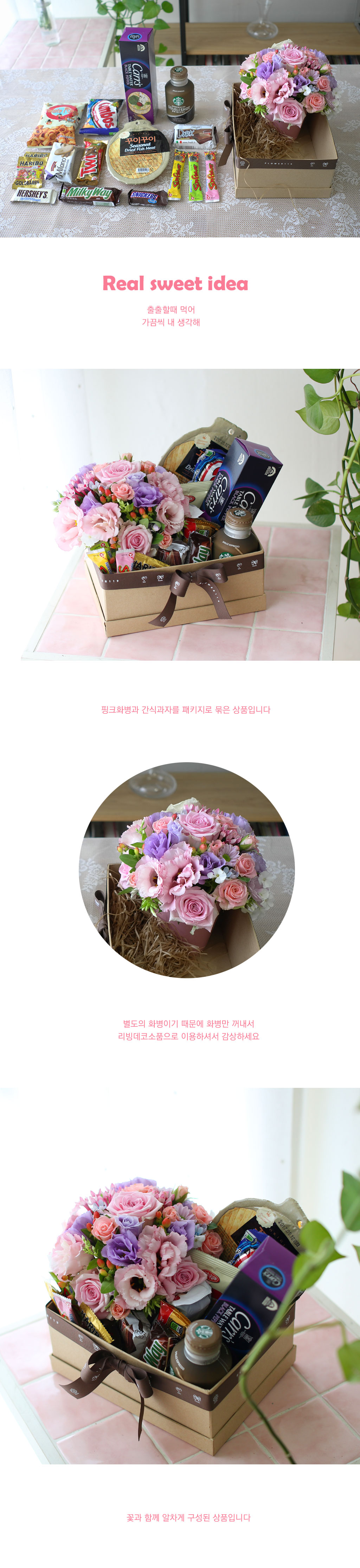 핑크화병과 크래커스