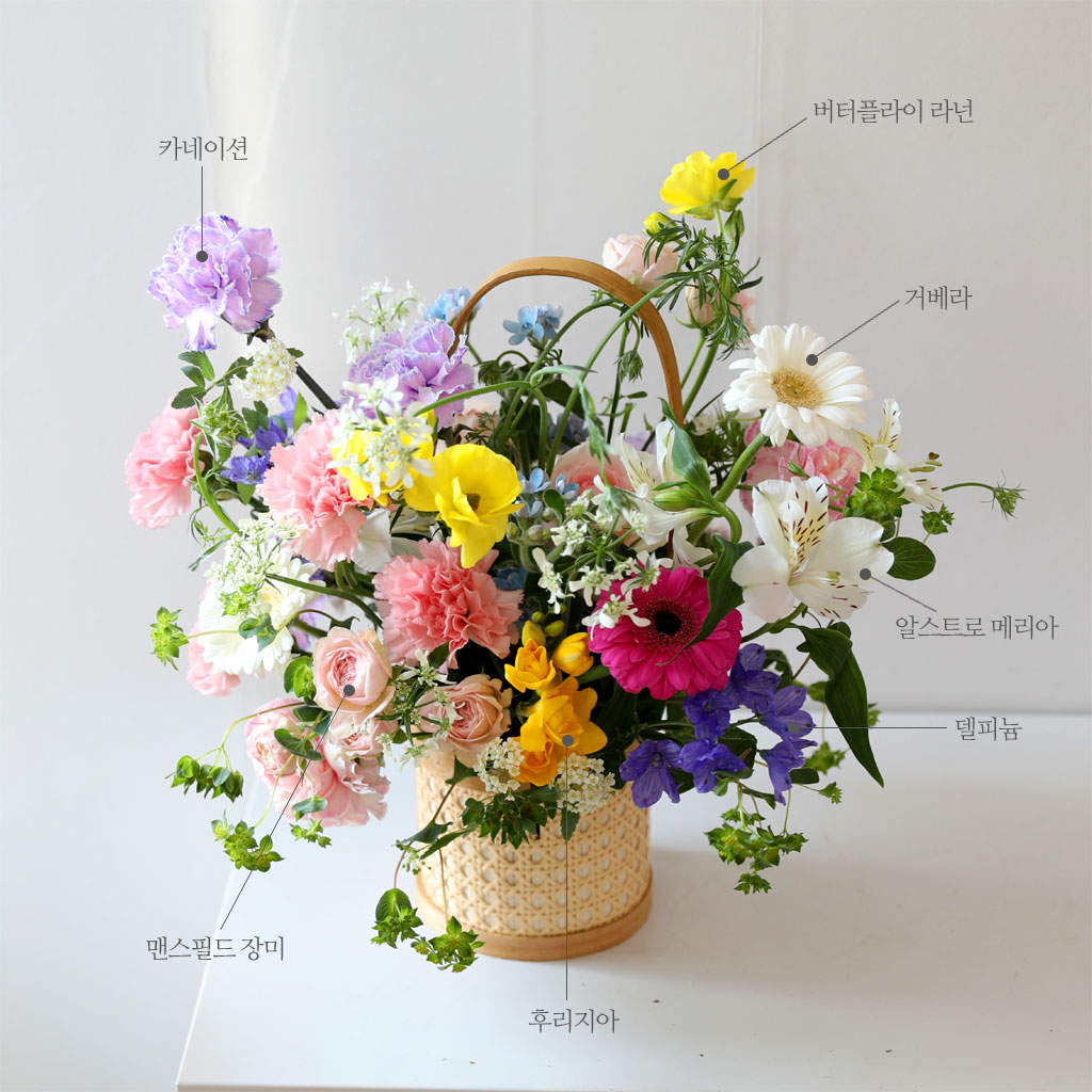 안나카레니나에서는 불행한 집은 각각 나름의 불행한 이유가 있다고 합니다
건강, 재물, 가정의 화목 등등 한 가지라도 결핍하면 불행하다는 것인데요
결핍이 없는 것이 과연 행복일까요?
아니면 다소 결핍이 있더라도 나에게 행복감을 주는 것이 있을 때 행복한 것일까요?
금상첨화는 결핍도 없고 행복감을 주는 것까지 있을 때 가장 행복하겠죠?
나에게 행복을 주는 것이 무엇일까 생각해 봅니다
벚꽃이 날리는 길을 걸을 때 기분이 좋아집니다
곧이어 그 순간 누군가 옆에 있다면 정말 더 행복하겠다고 생각합니다
결국 사람이 행복입니다