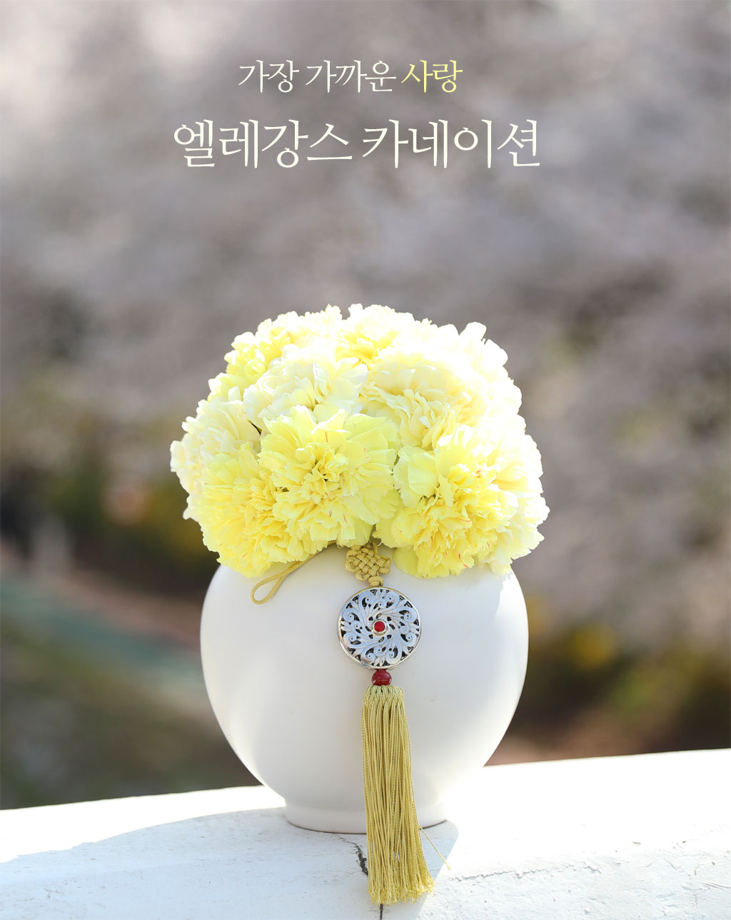 (서울 수도권) 가장 가까운 사랑 - 엘레강스카네이션