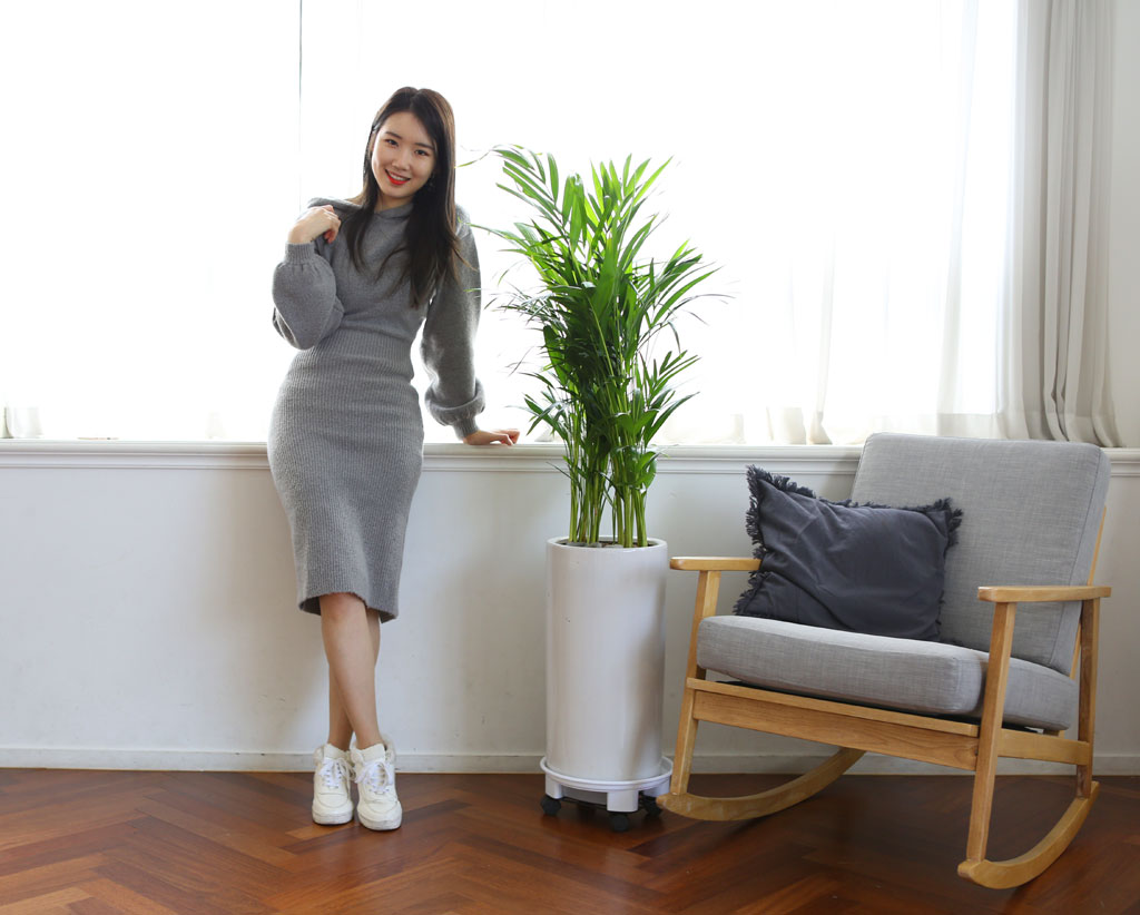 애완동물, 반려동물처럼 식물도 살아있는 반려식물처럼 아껴주세요