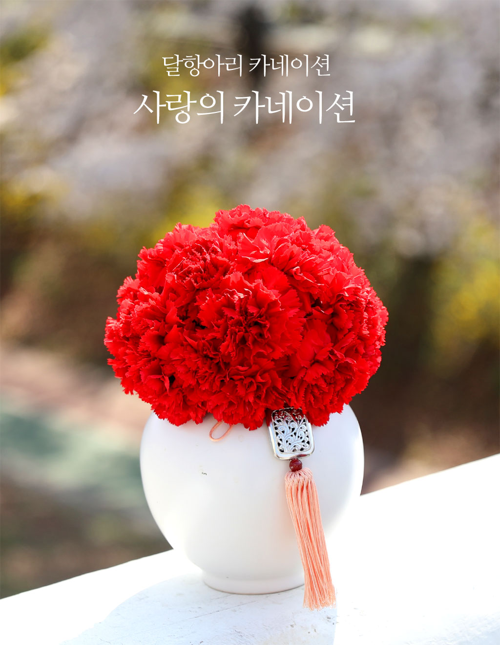 (서울 수도권) 달항아리 카네이션 - 사랑의 카네이션
