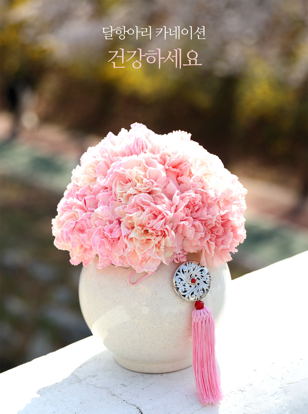 (서울 수도권) 달항아리 카네이션 - 건강하세요