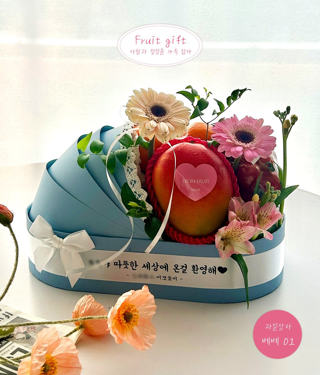 Fruit Gift - 베베 01