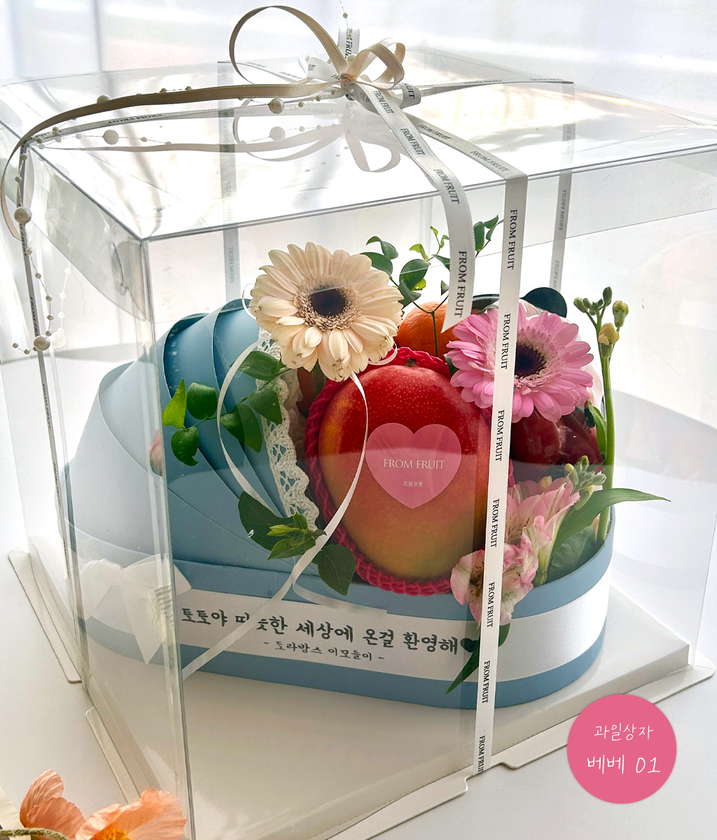 Fruit Gift - 베베 01