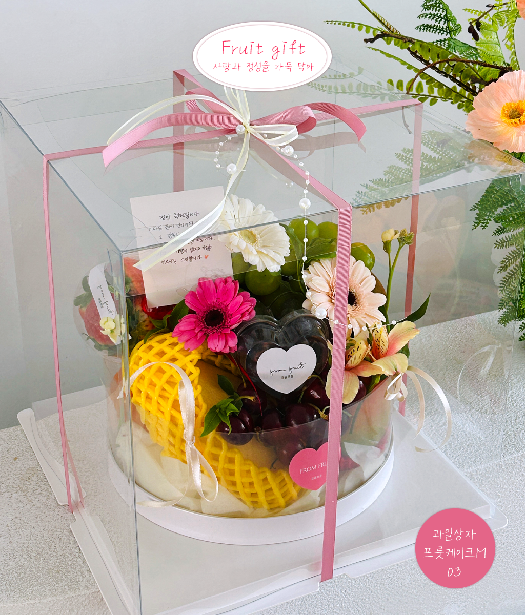 Fruit Gift - fruit cake M 03