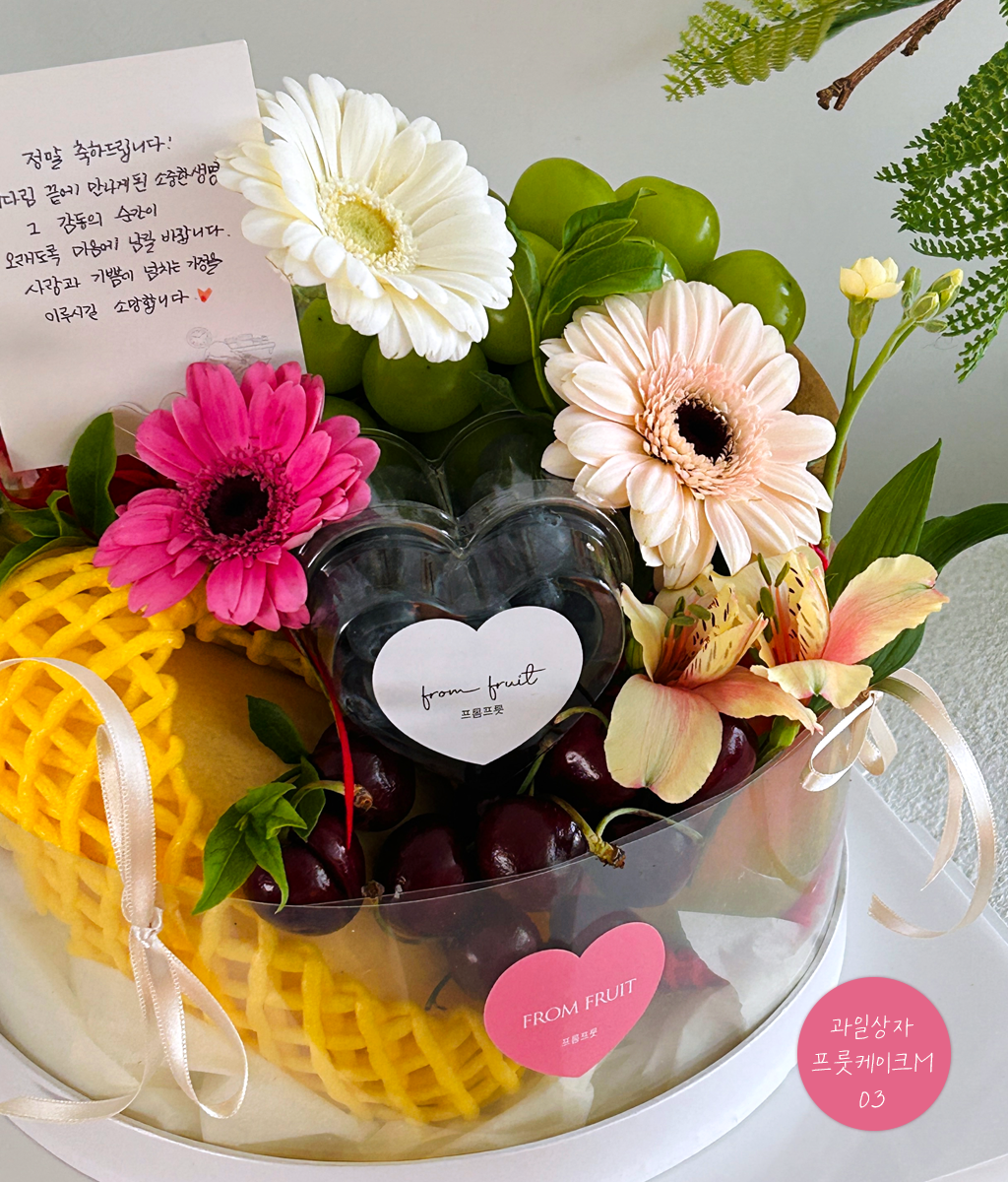 Fruit Gift - fruit cake M 03