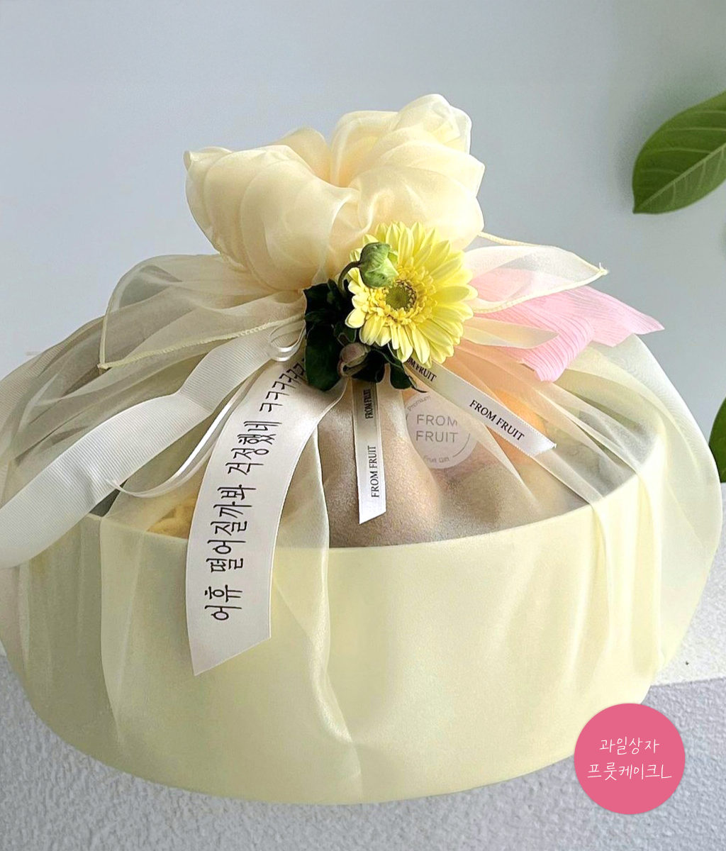 Fruit Gift - fruit cake L