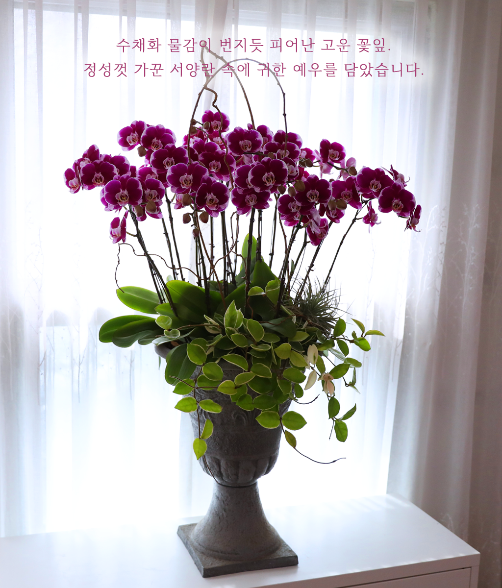 자주빛 한 폭 꽃그림 - 나비의 뜰
